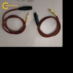 Dây kết nối một đầu Jack Canon và một đầu ra 1 jack Hoa sen dài 1m