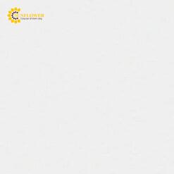 3M™ Lapping Film 869XW