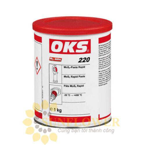 OKS 220 – MoS₂ Chống rỉ,