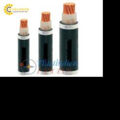 Dây cáp điện Cadisun CXV 1 x 25 mm2