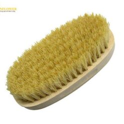 Bàn chải rửa tay loại hình bầu dục (Pakin) SANKYO 4343587