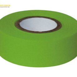 Băng nhãn giấy bền màu (màu xanh lá cây, 25.4mm) AS ONE 3-9875-03 ASO-T34-3