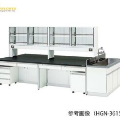 Bàn phòng thí nghiệm trung tâm (1200 x 2400 x 800/1800, cửa kính) AS ONE 3-7870-01 HGN-2412G