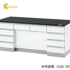 Bàn thí nghiệm có cửa trượt (750 x 2400 x 800mm) AS ONE 3-5830-42 SQA-2475R