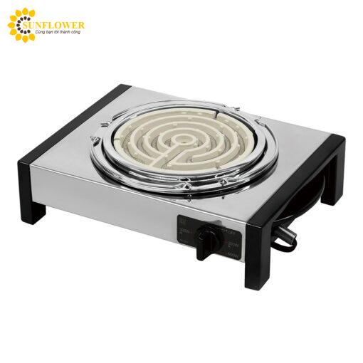bepdien100v5060hz600wishizakielectrics1786