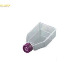 Bình nuôi cấy mô 250mL VWR 10062-860 (Loại nắp thông khí, đóng gói 1 hộp/ 100 cái)