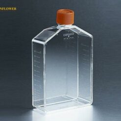 Bình nuôi cấy mô Corning Incorporated 431079 (Nút bịt kín / Cổ góc) 175mL