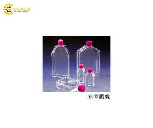 binhnuoicaymodungchotebaobamdinh25cm2n908