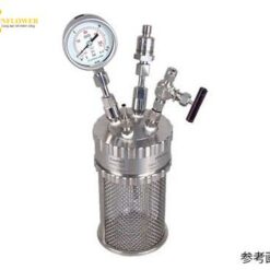 Bình phản ứng thủy tinh chịu áp lực Mini Clave 100mL Leona SUS100