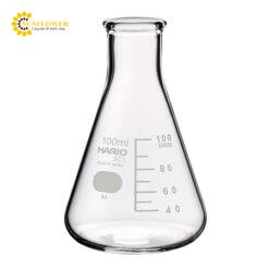 Bình thủy tinh Erelenmeyer 100mL SIBATA SCIENTIFIC TECHNOLOGY LTD 010530-10051 A, thang đo tiêu chuẩn