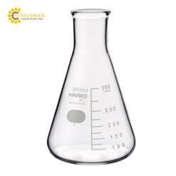 Bình thủy tinh Erelenmeyer 300mL SIBATA SCIENTIFIC TECHNOLOGY LTD 010530-30051 A, thang đo tiêu chuẩn