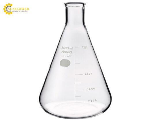 binhthuytinherelenmeyer5000mlsibatasci5315