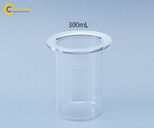 binhthuytinhhinhtruborosilicateglass133738