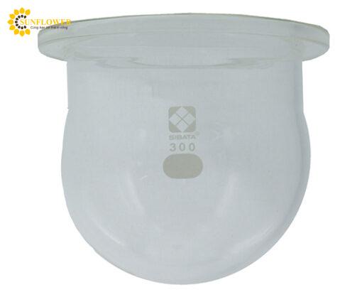 binhthuytinhtronborosilicateglass1300m8635