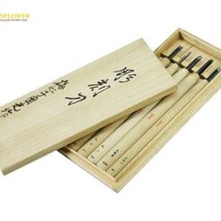 Bộ 5 chiếc đục chuyên nghiệp Baishinshi 63-5477-19