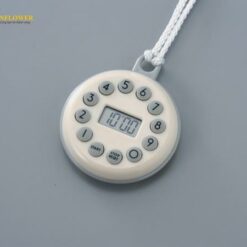 Bộ hẹn giờ kỹ thuật số CUSTOM CL-199