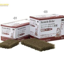 Bọt biển mài đánh bóng 3M SGANKOARAME