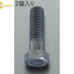 Bu lông đầu lục giác (M16 x 90mm, 2 cái/ gói) ESCO EA949HD-1613