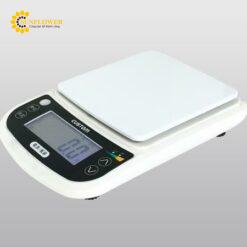 Cân kỹ thuật số (5000g, 0 - 1000g/0.1g, 1,000.5 - 3.000g/0.5g, 3.001 - 5000g/1g) CUSTOM corporation MS-5000WP