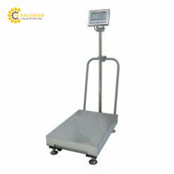 Cân Platform chống cháy nổ (300kg, 50g) YAMATO-SCALE DP-6700ExK-300M-HS