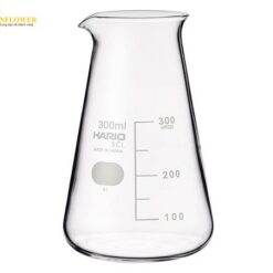 Cốc thủy tinh hình nón 300ml HARIO CB-300