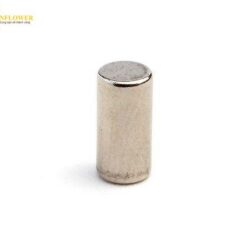 Đá từ tính Neodymium (loại tròn, φ3 x 5mm, 50 cái) Niroku Seisakusho NE077