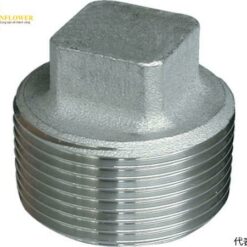 Đầu nút cắm ren ngoài 10A INOC 304P10A