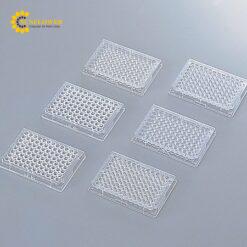 Đĩa đa năng 96 giếng Thermo Fisher Scientific K.K 269787, đáy phẳng, không có nắp