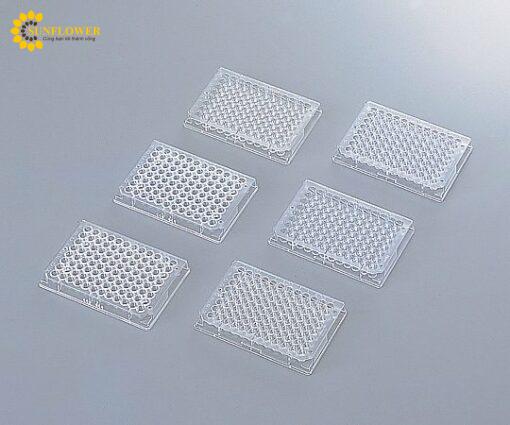 diadanang96giengthermofisherscientific8066