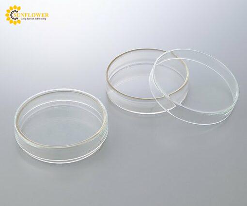 diapetrithuytinhborosilicateglass33ph87181