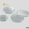 diapetritieuchuanph100x20mmasone2916901417