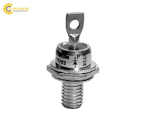 diotchinhluu2chane111600v95asemikronsk1882