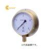 donghodoapsuatchankhongg38b010mpadaiic2869