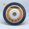 flapdiscd100p80595