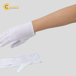 Găng tay không bụi ASPURE Nylon BNH-U S 12 đôi