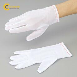 Găng tay làm việc chính xác Polyester (size L, 12 đôi) ASPURE ASPOHALF
