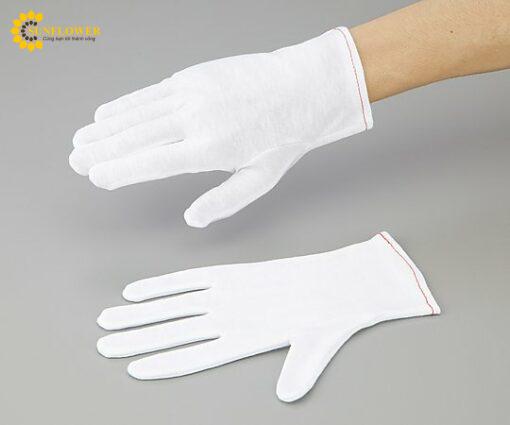 gangtaymincottonkhongcolochanlongsizes9666