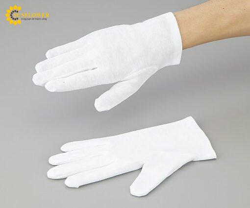 gangtaytroncottoncolosizell12doiaspure8989