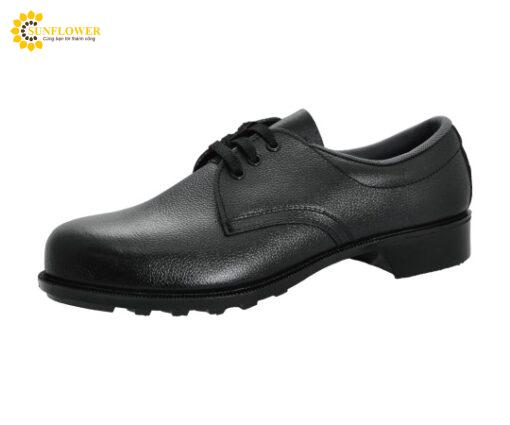 giaybaohocodecaosu280cmmidorianzenhs108275
