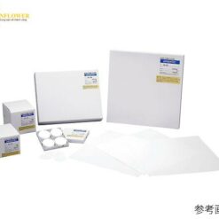 Giấy lọc thủy tinh DP-70 50 cái ADVANTEC 36241047