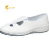 giaysuctinhdienmautrang250cmmidorianze8541