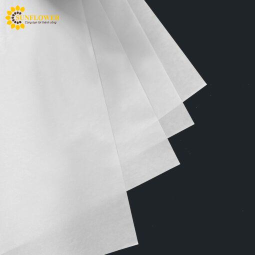 glt60paperreleaseliner981