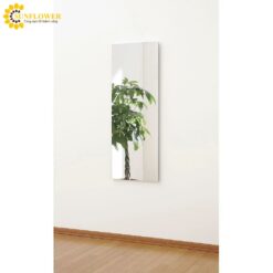 Gương soi toàn thân (450 x 1200mm) J.FRONT SSG0101