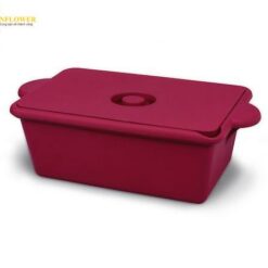 Hộp trữ đông lạnh (4L, hình vuông, màu đỏ) AS ONE 3-8579-04