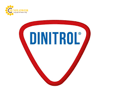 Mỡ Dinitrol