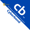 keoapollo2010cyberbond199