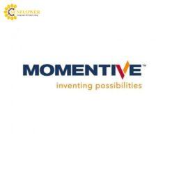Keo Silicone Momentive RTV88