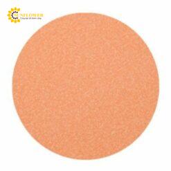 Lớp đánh bóng 3M™ Polishing Film 591X