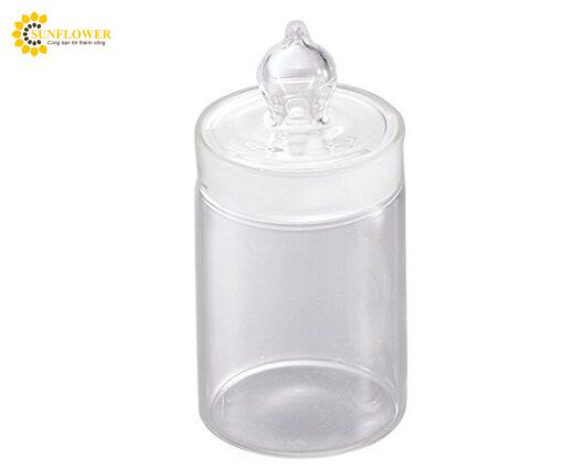 lothuytinhhinhtruborosilicateglass120m6989