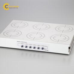 Máy khuấy từ 6 vị trí AS ONE 2-4993-02 HS-6AN, 1500rpm 50 - 2000 x 6 ml